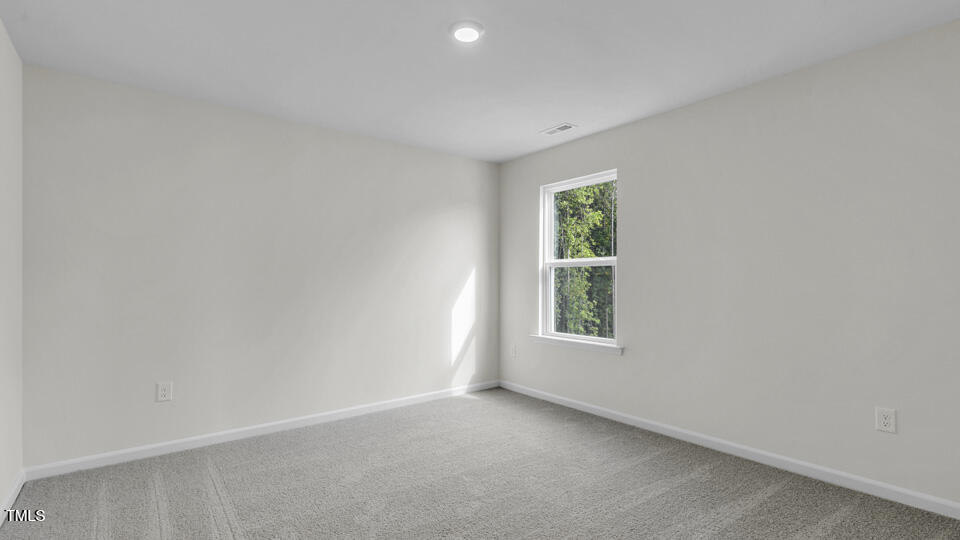 809 Comice Pear Way Willow Spring, NC 27592 - Photo 28 of 42 lot-31-809-comice-pear-way-willow-spring