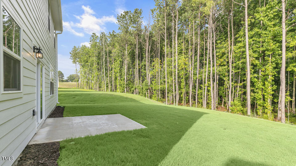 809 Comice Pear Way Willow Spring, NC 27592 - Photo 40 of 42 lot-31-809-comice-pear-way-willow-spring