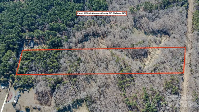 a bunch of flowers and trees