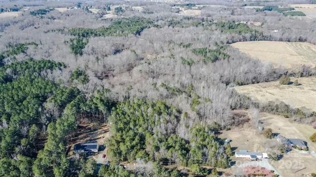 a view of a dry yard covered with trees