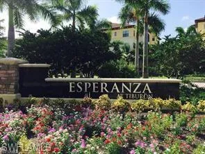 a view of a park with palm trees