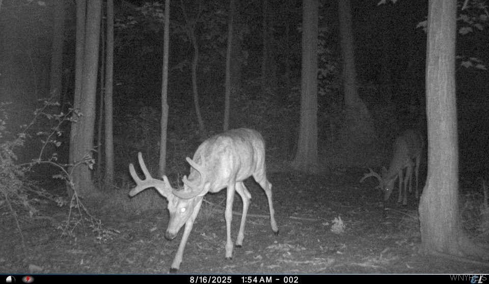 3554-3548 Beebe Road Wilson, NY 14108 - Photo 2 of 3