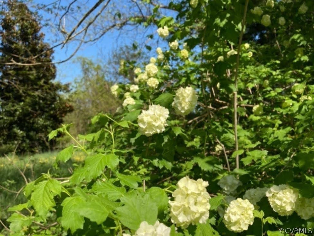 643 Gloucester Road Saluda, VA 23149 - Photo 34 of 48