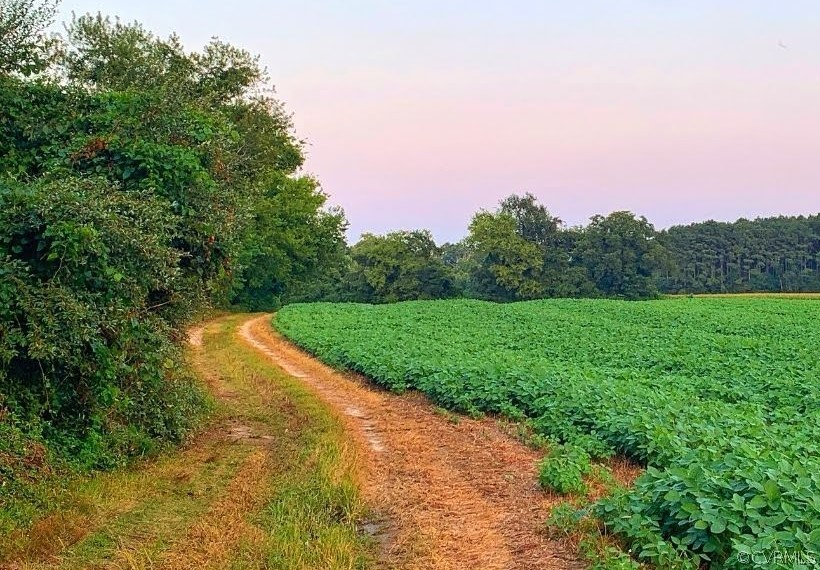 643 Gloucester Road Saluda, VA 23149 - Photo 46 of 48