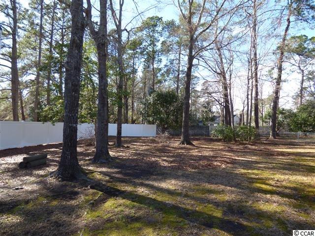 222 Rice Mill Drive Myrtle Beach, SC 29588 - Photo 22 of 25 Gallery Image 22