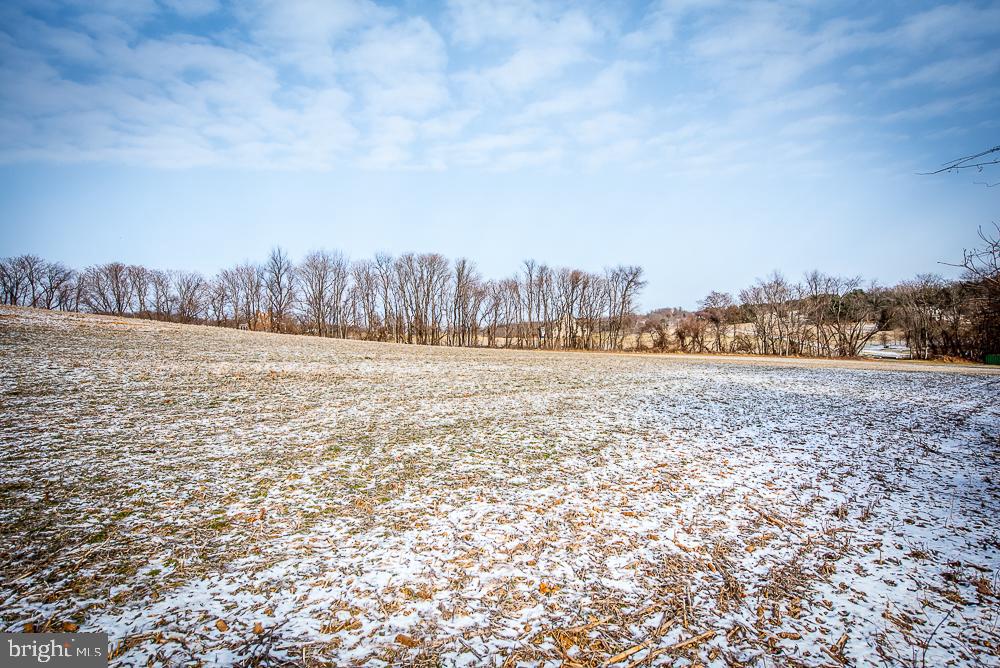 12217 Kingsley Road Clarksburg, MD 20871 - Photo 54 of 70 View from behind the yard...no neighbors!