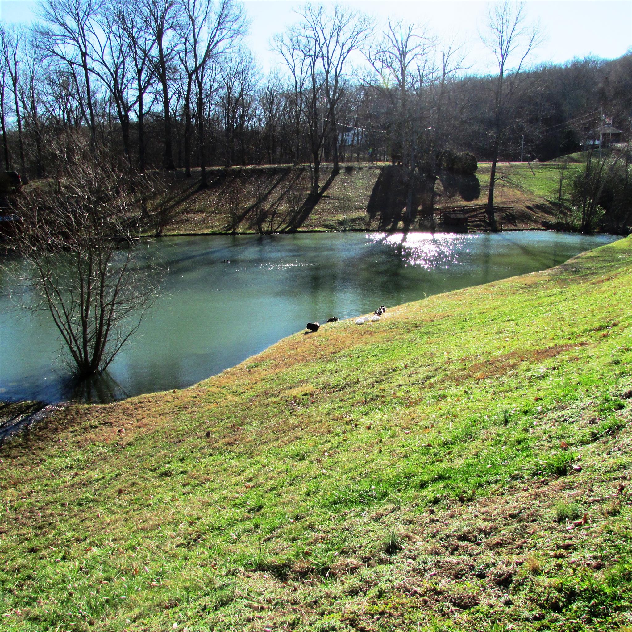 133 Lake Wood Road Lebanon, TN 37087 - Photo 26 of 30 The view next door is wonderful!!!