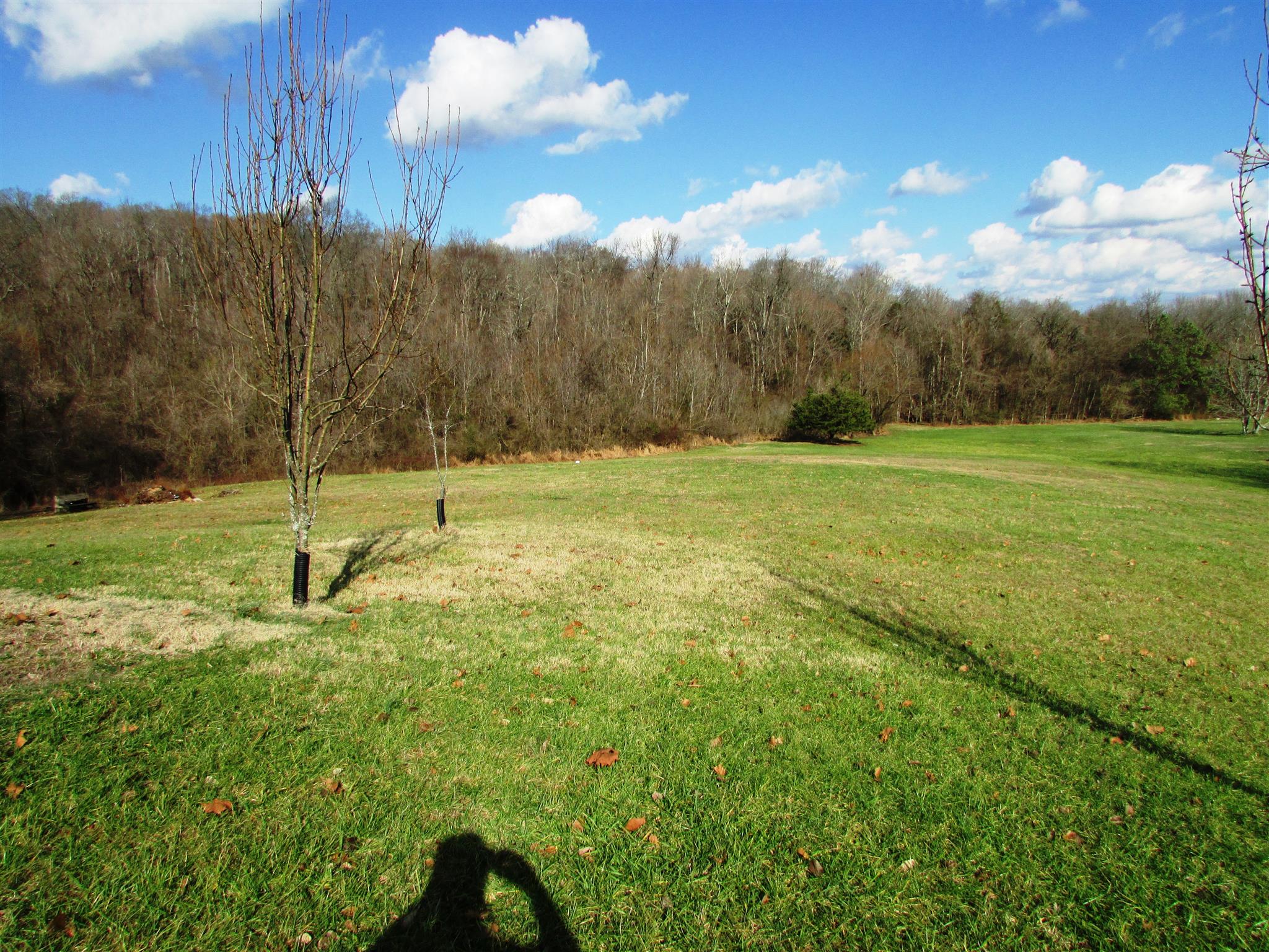 133 Lake Wood Road Lebanon, TN 37087 - Photo 27 of 30 A partial view of your 5.15 acres.