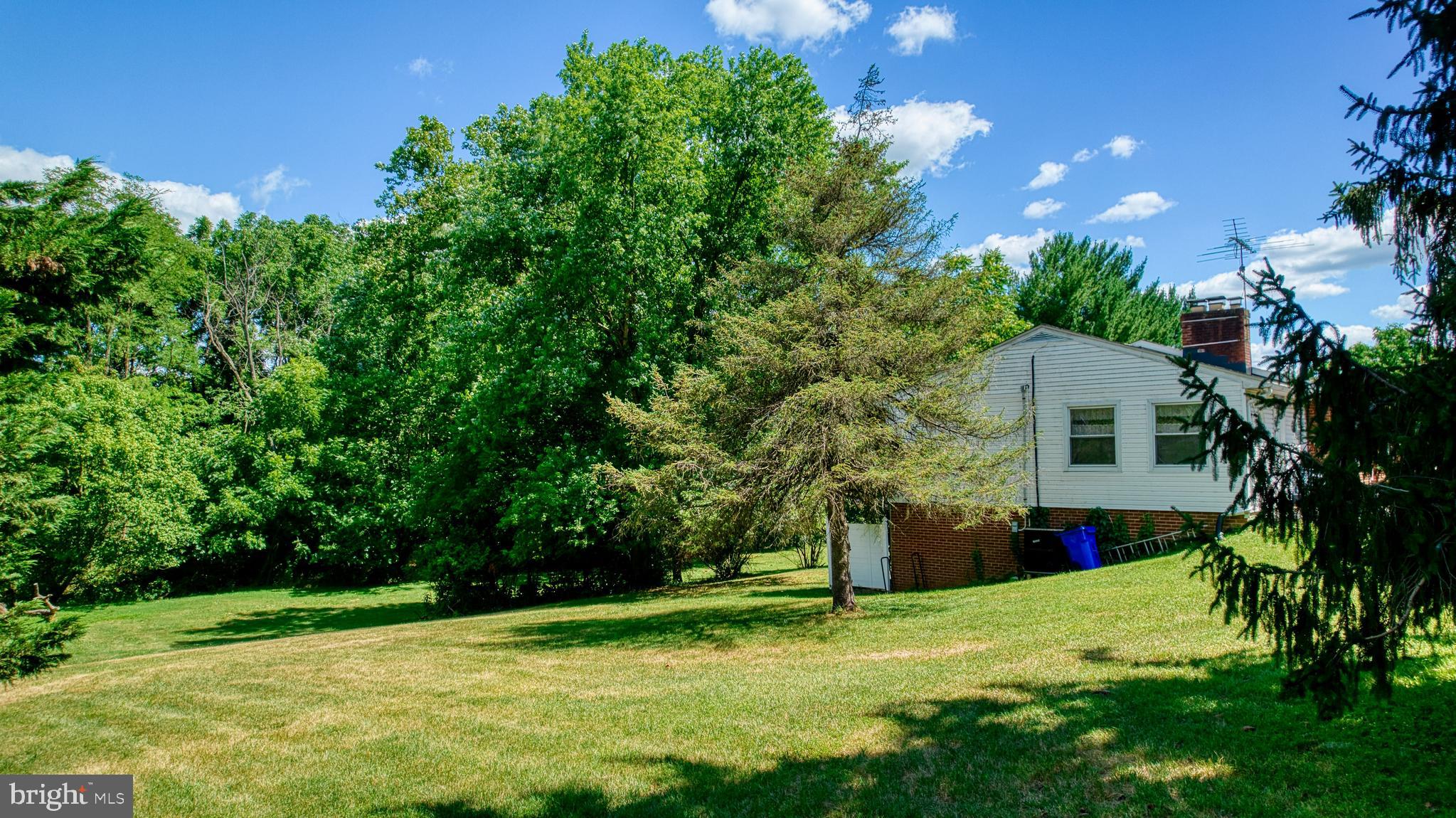 5203 New Design Road Frederick, MD 21703 - Photo 13 of 75 Side yard