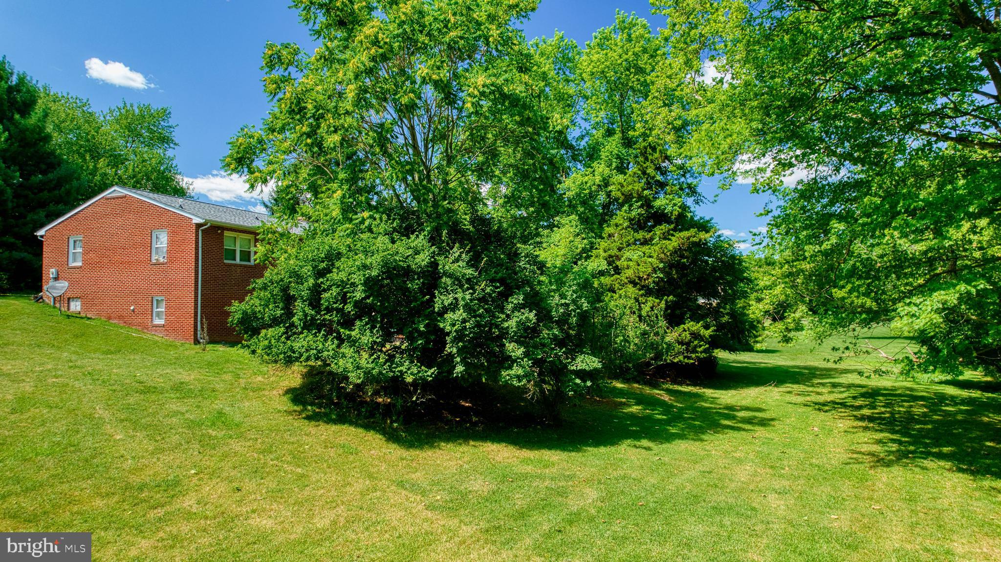 5203 New Design Road Frederick, MD 21703 - Photo 20 of 75 Back yard