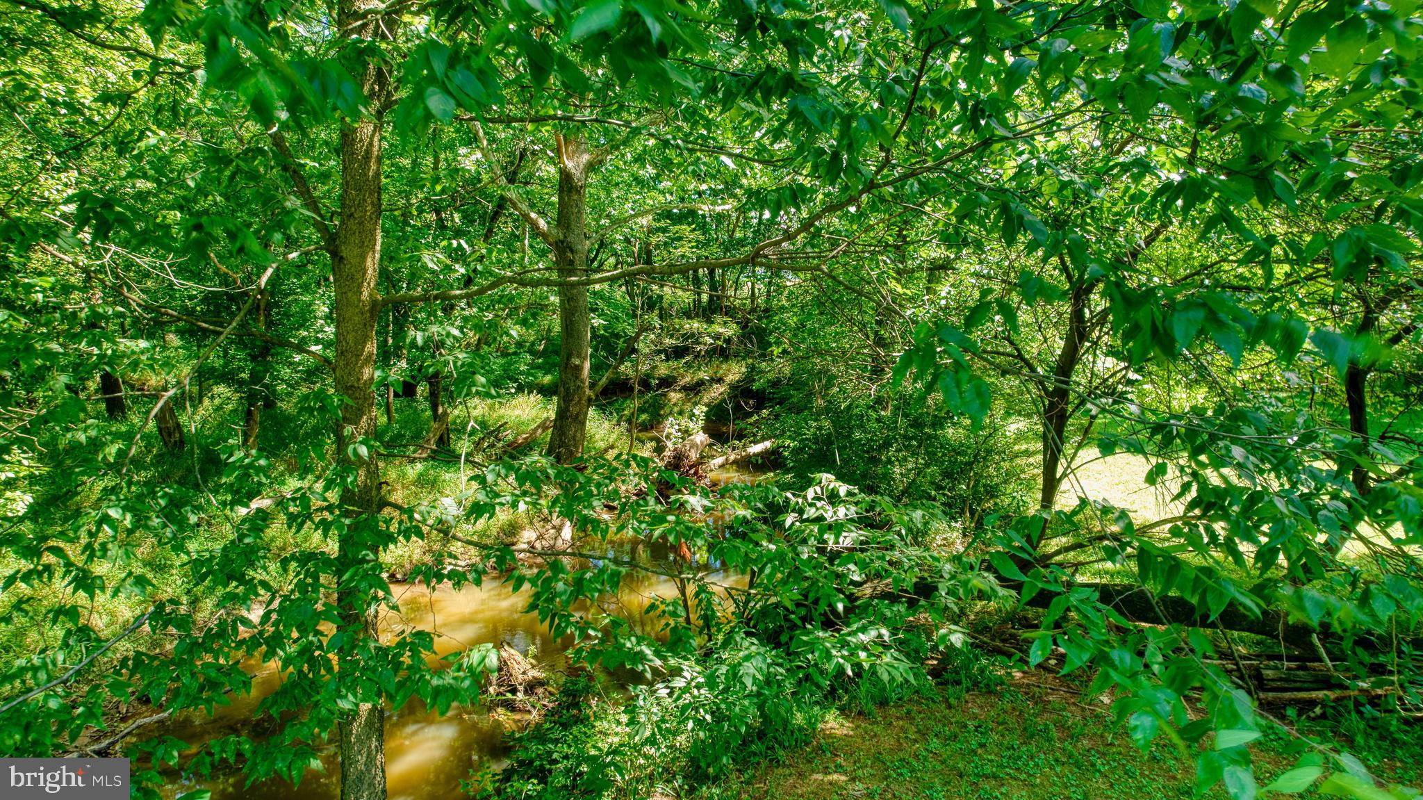 5203 New Design Road Frederick, MD 21703 - Photo 66 of 75 Backs to Ballenger Creek