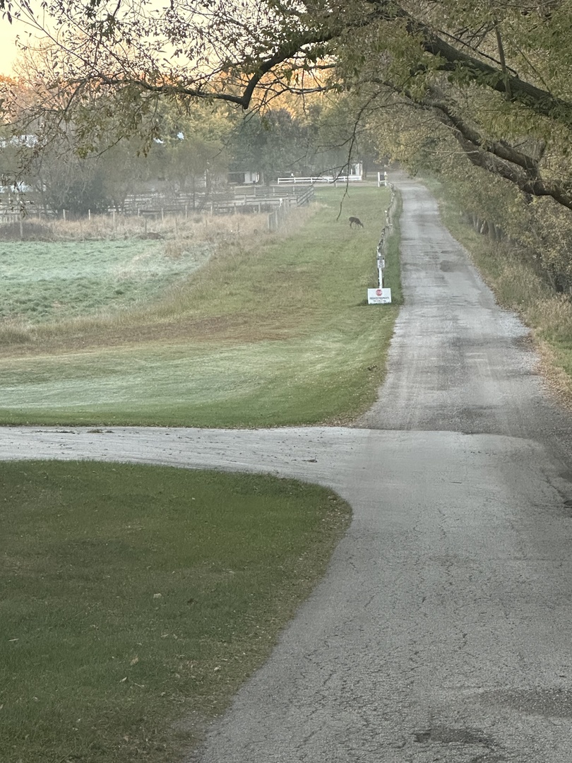 28044 West Roberts Road Barrington, IL 60010 - Photo 3 of 13 Gallery Image 3