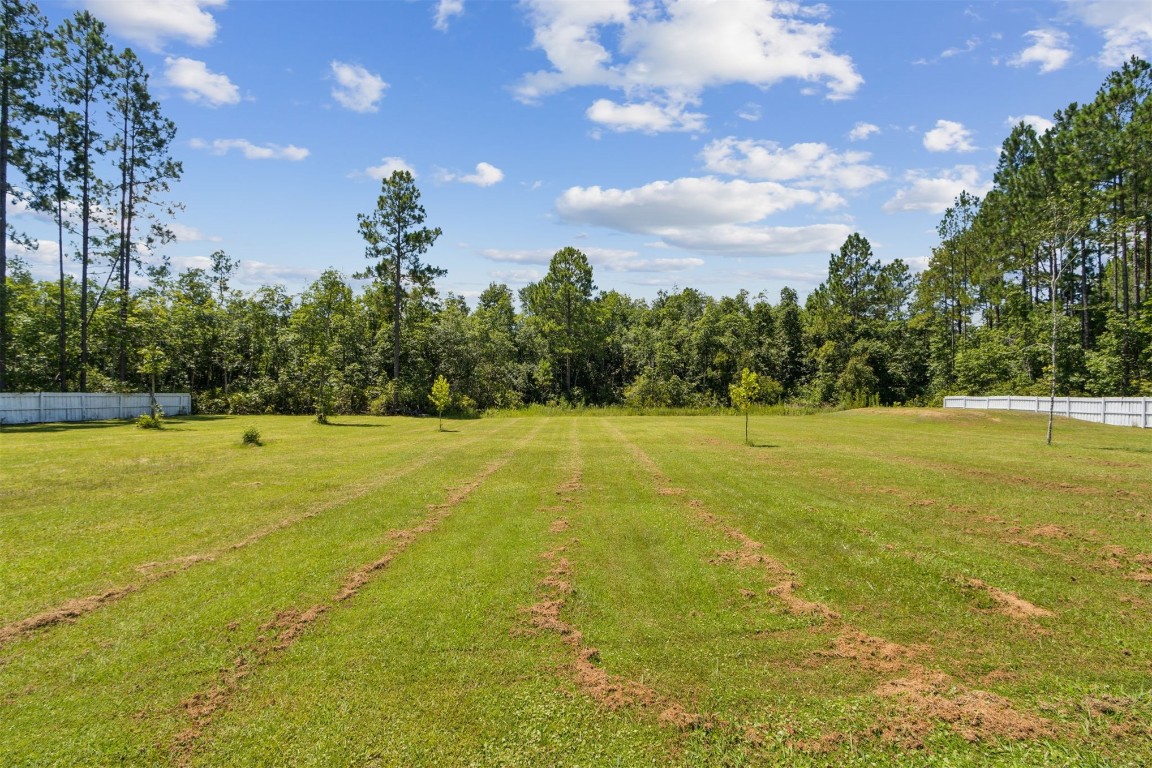 37221 Poole Road Hilliard, FL 32046 - Photo 57 of 67 a view of outdoor space with swimming pool and green space