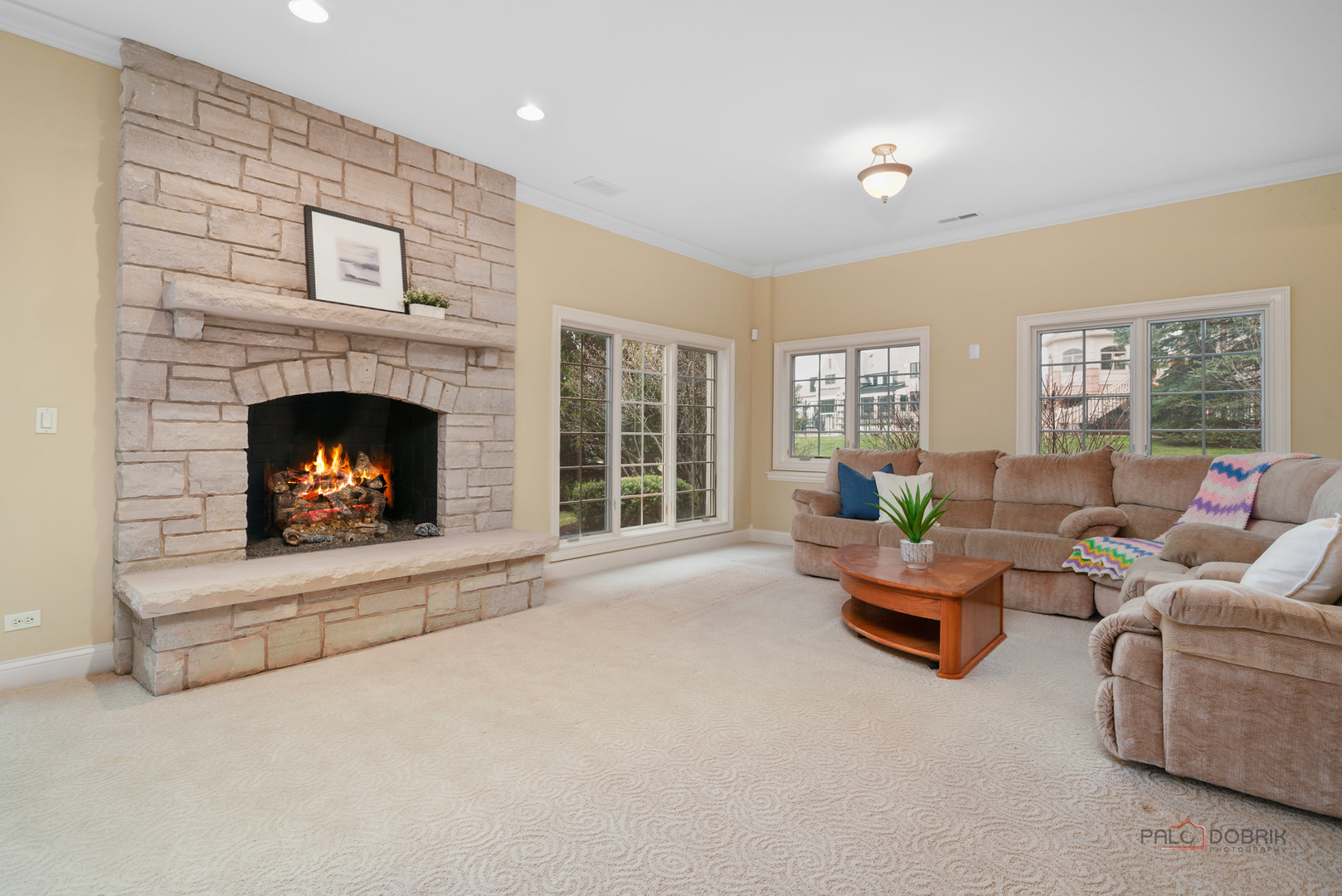 435 Winfield Lane Inverness, IL 60010 - Photo 46 of 73