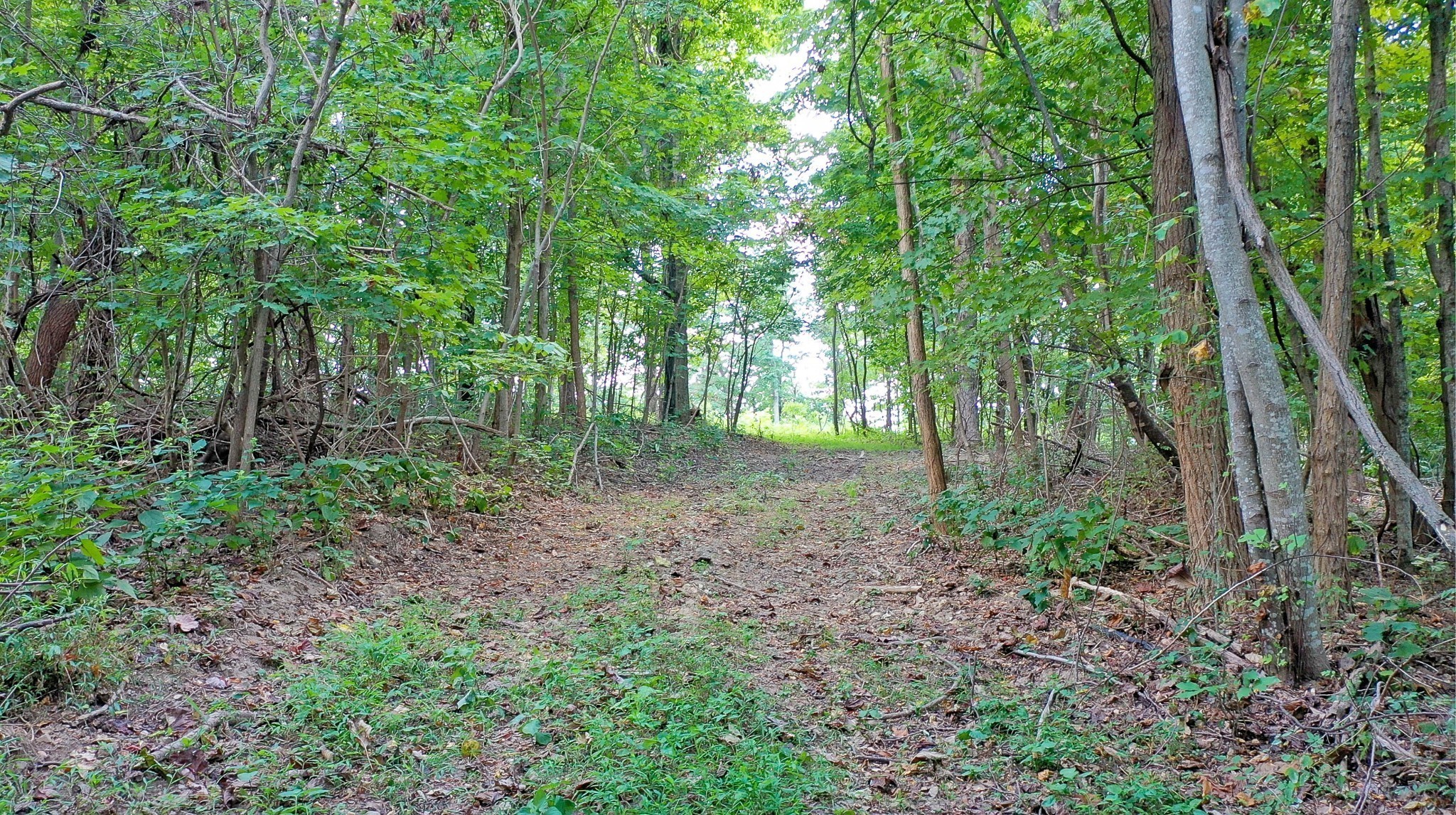 7659 Burks Road Christiana, TN 37037 - Photo 18 of 32