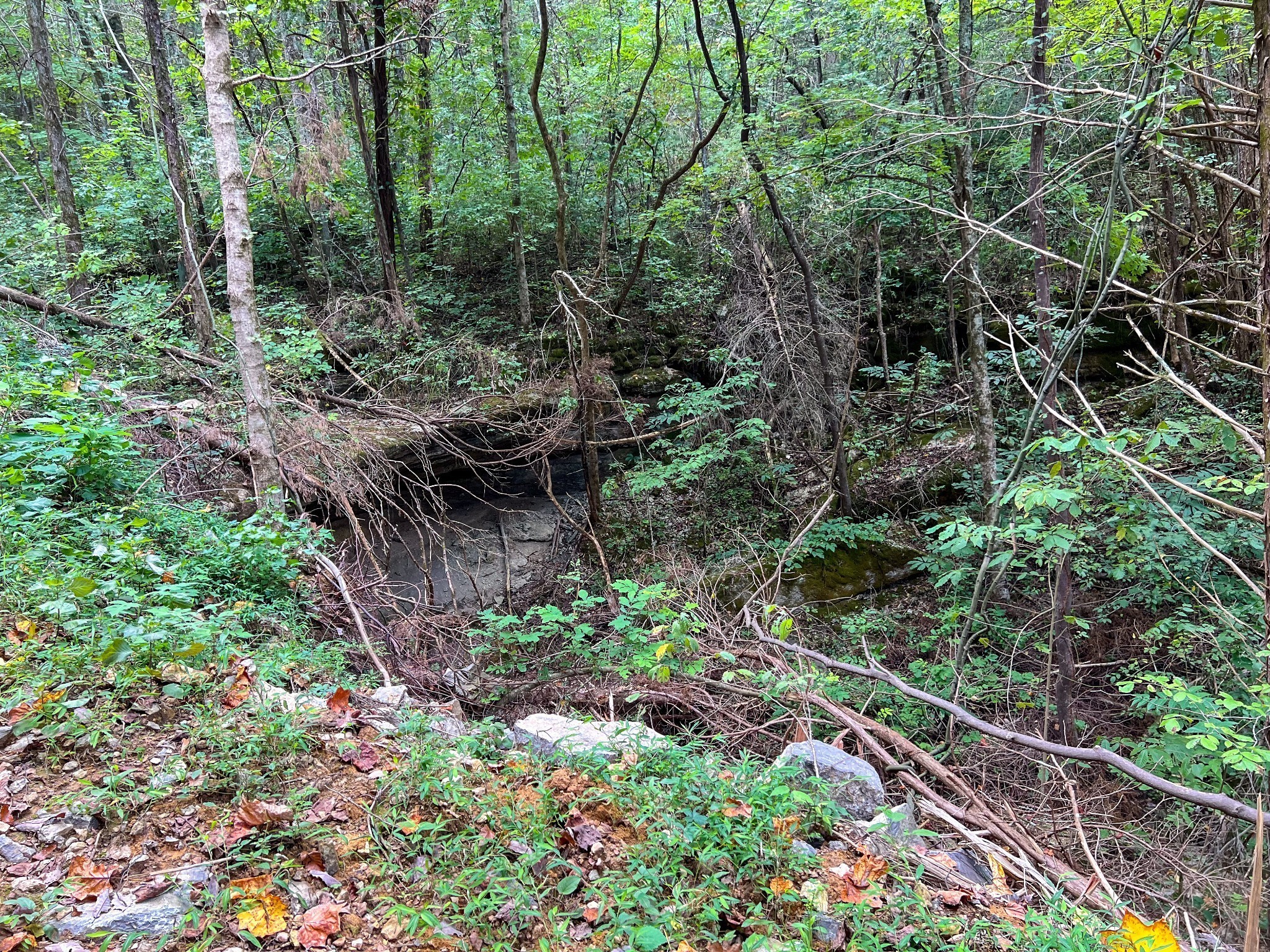 7659 Burks Road Christiana, TN 37037 - Photo 6 of 32