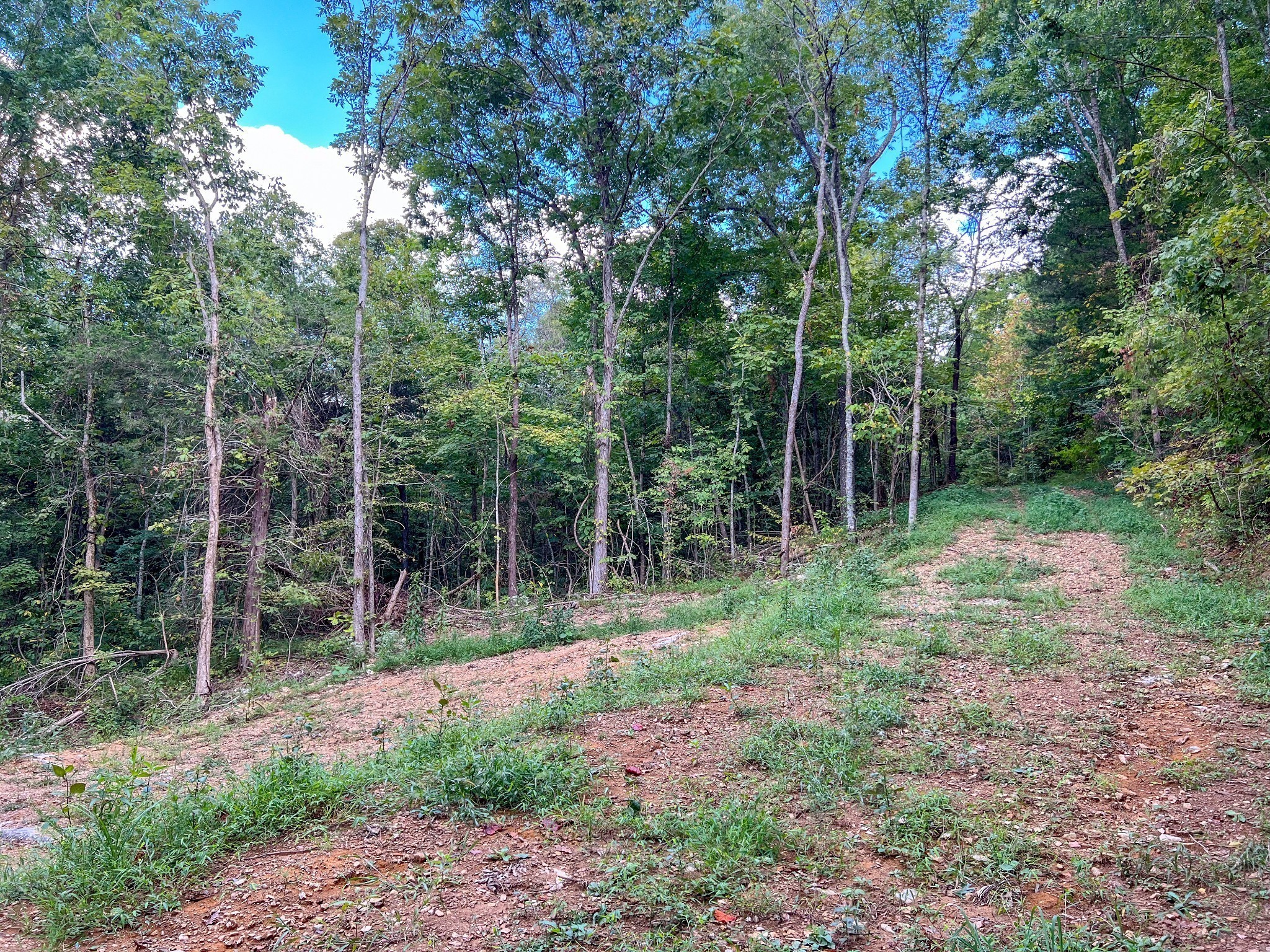 7659 Burks Road Christiana, TN 37037 - Photo 7 of 32