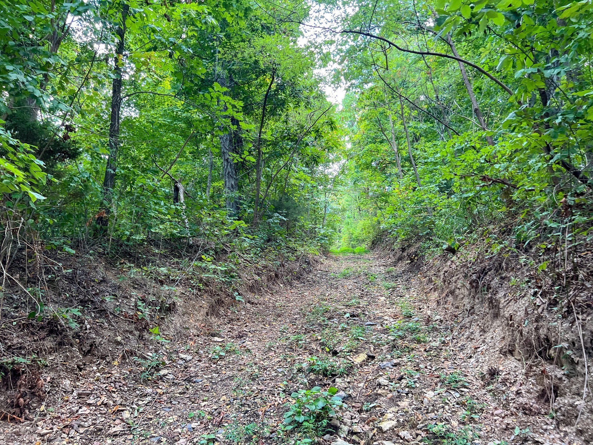 7659 Burks Road Christiana, TN 37037 - Photo 10 of 32