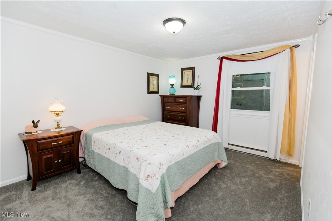 791 Stroup Road Atwater, OH 44201 - Photo 39 of 45 Gallery Image 39