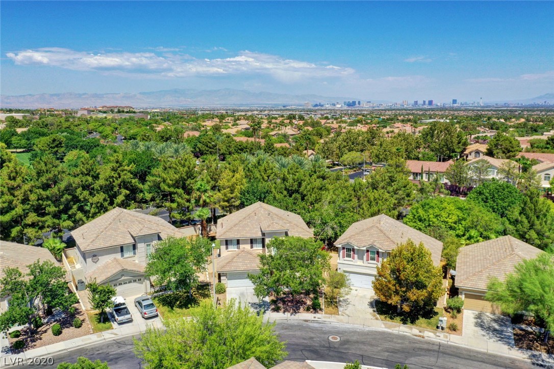 2000 Thunder Ridge Circle Henderson, NV 89012 - Photo 43 of 50 Gallery Image 43