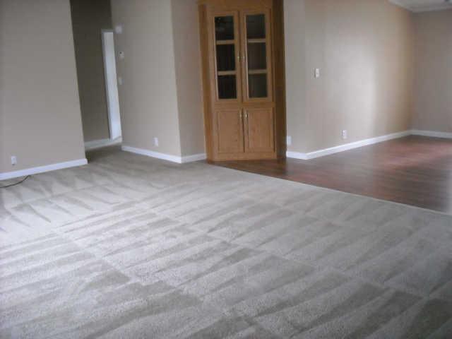 1008 Perry Road Chapmansboro, TN 37035 - Photo 2 of 20 Living Room