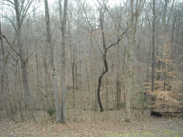 1008 Perry Road Chapmansboro, TN 37035 - Photo 20 of 20 Woods in back of home