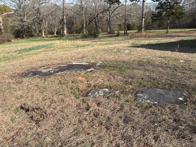 0 Southeast Barnett Road Crawfordville, GA 30631 - Photo 16 of 37 IMG_7256