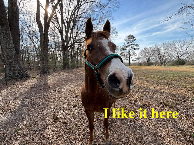 0 Southeast Barnett Road Crawfordville, GA 30631 - Photo 22 of 37 IMG_7267