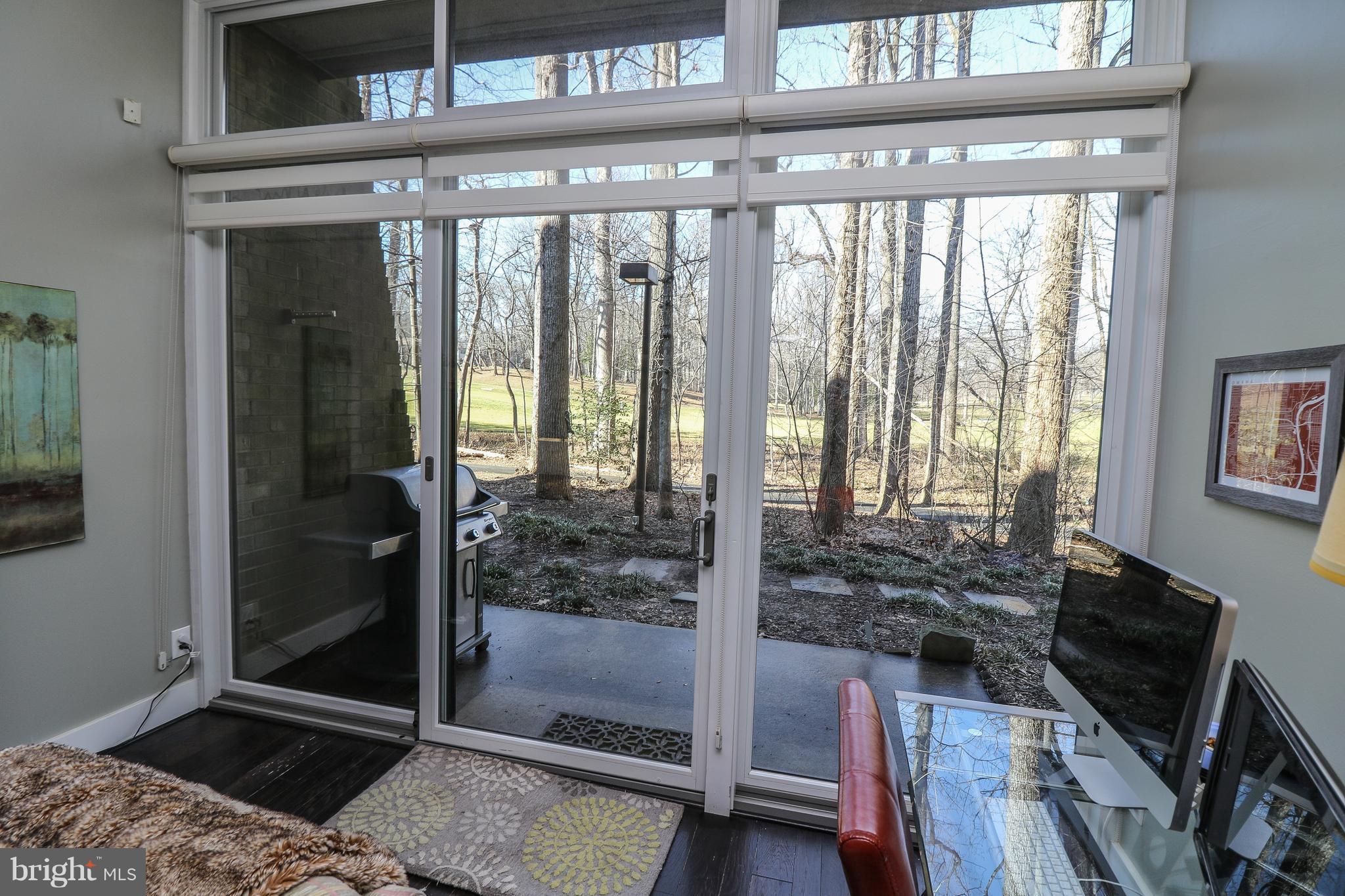 2114 Green Watch Way, Unit 101 Reston, VA 20191 - Photo 3 of 29 Beautiful Doors & Windows Highlight the Views!