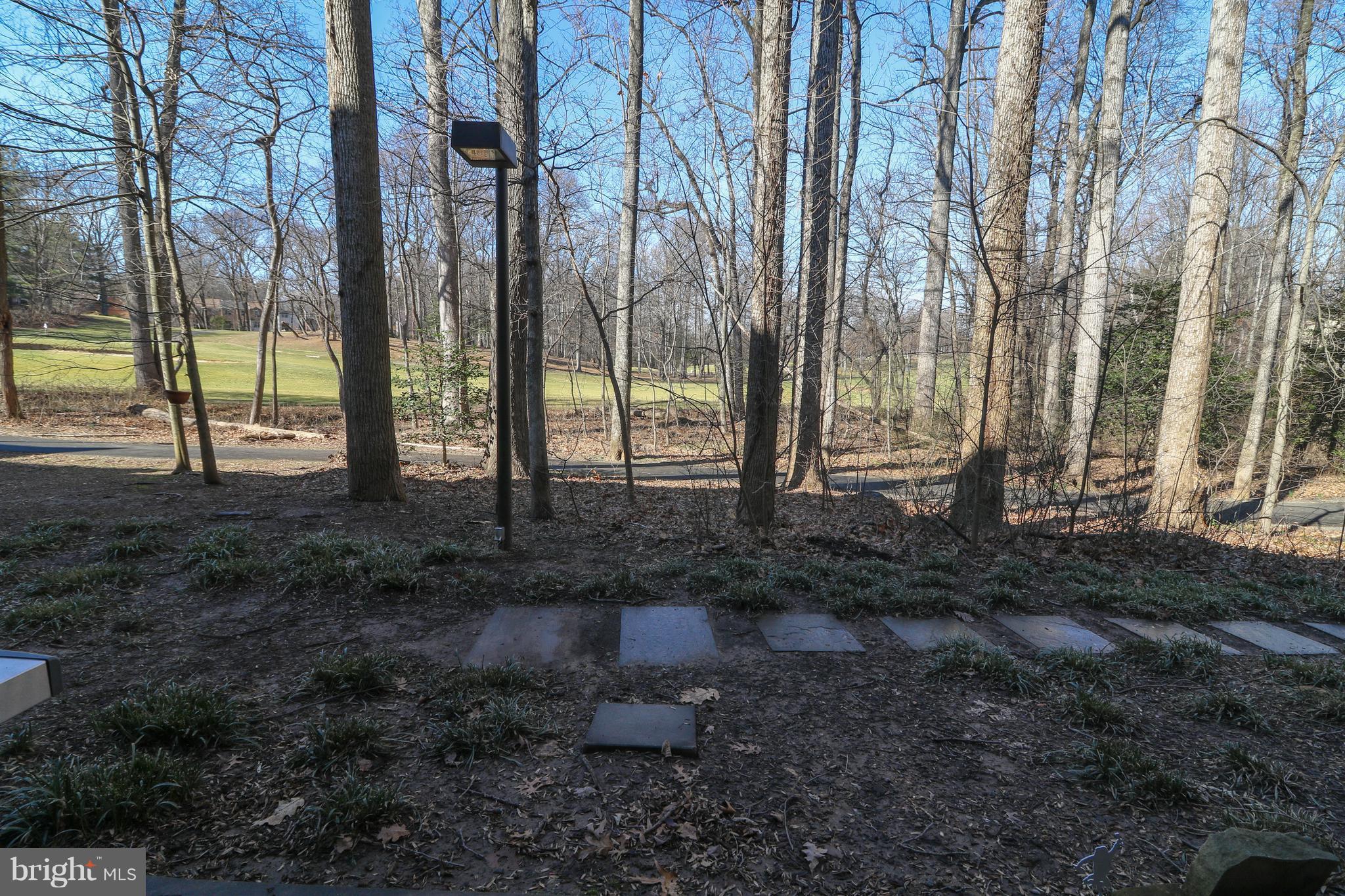 2114 Green Watch Way, Unit 101 Reston, VA 20191 - Photo 24 of 29 Lovely setting, backing to the golf course.