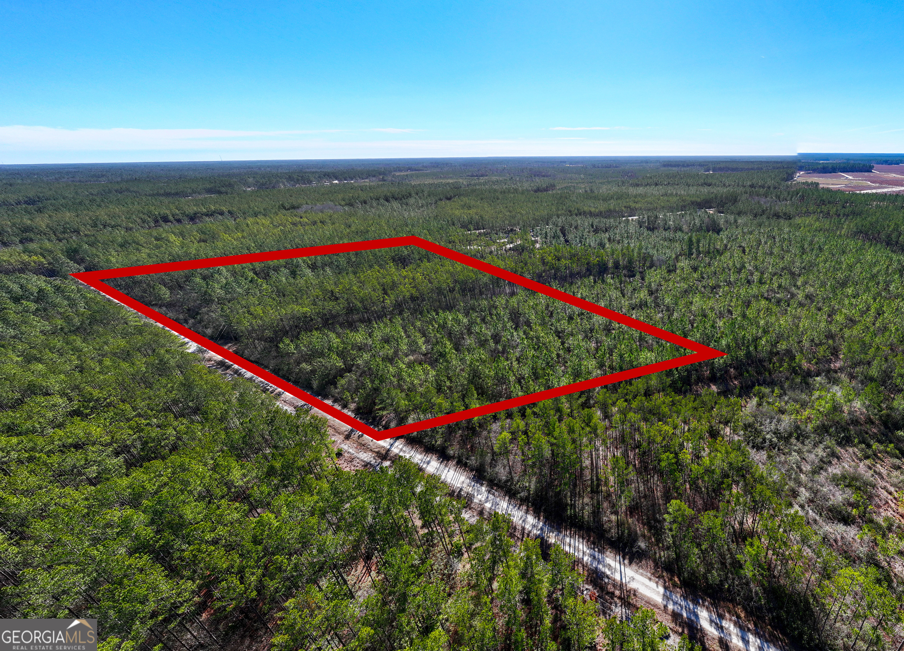 10.55-acres Mcdonald Road North Waycross, GA 31503 - Photo 2 of 8