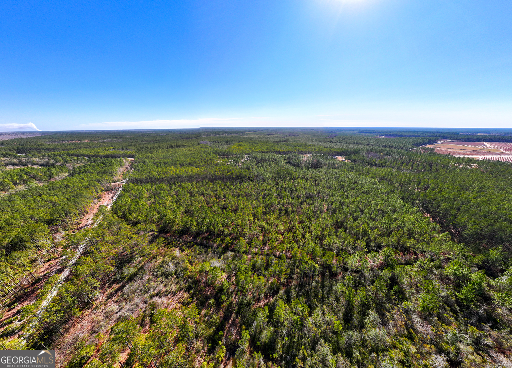 10.55-acres Mcdonald Road North Waycross, GA 31503 - Photo 6 of 8