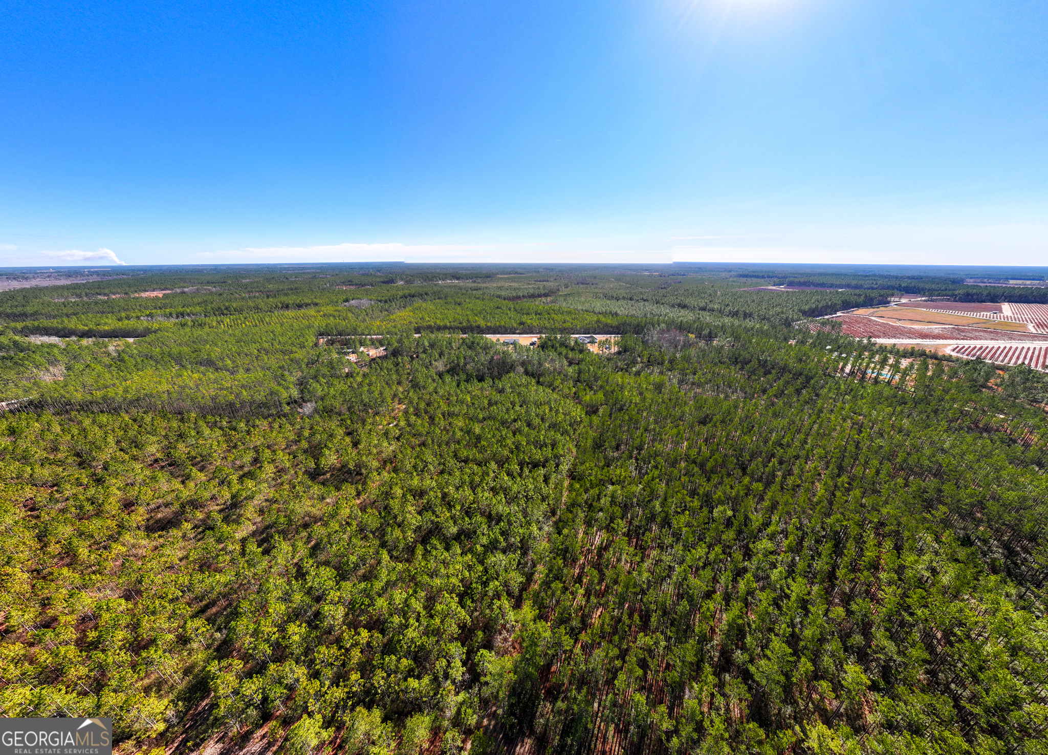 10.55-acres Mcdonald Road North Waycross, GA 31503 - Photo 7 of 8