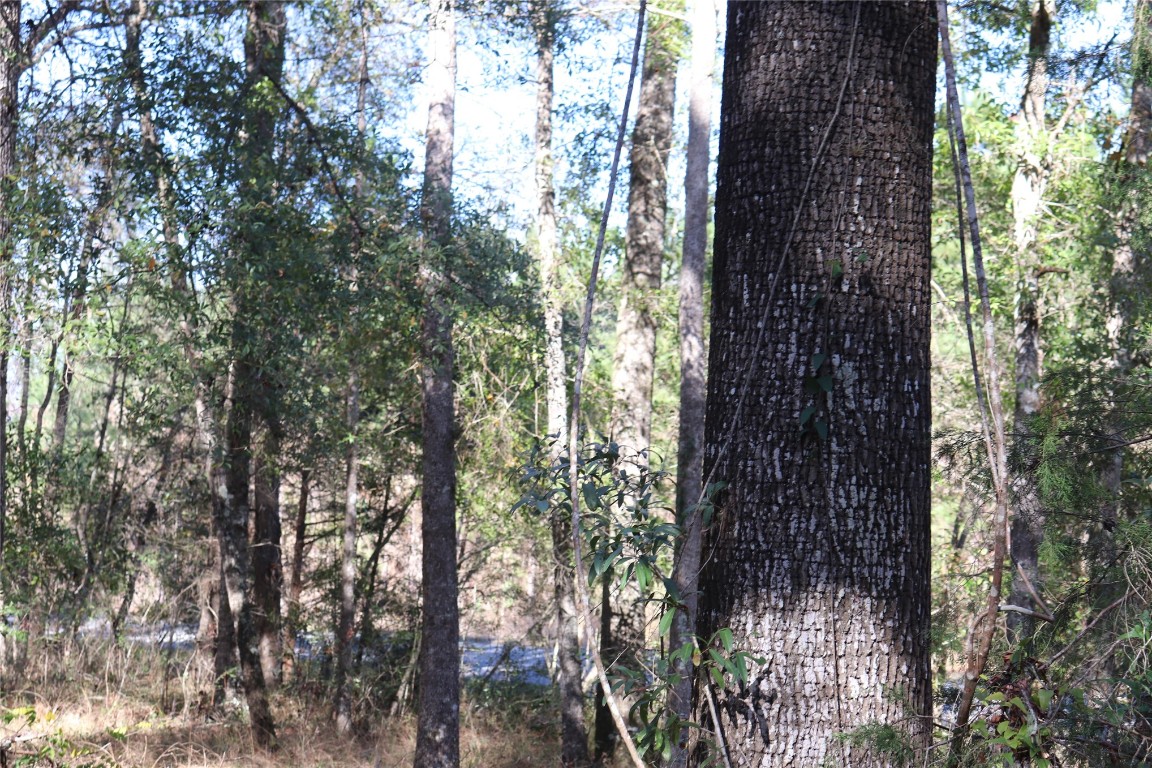 574154 Lessie Road Hilliard, FL 32046 - Photo 16 of 34