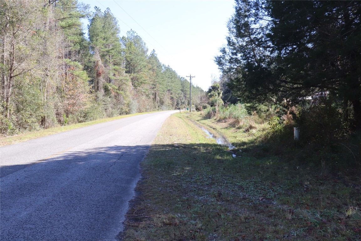 574154 Lessie Road Hilliard, FL 32046 - Photo 27 of 34 a view of a yard with a tree