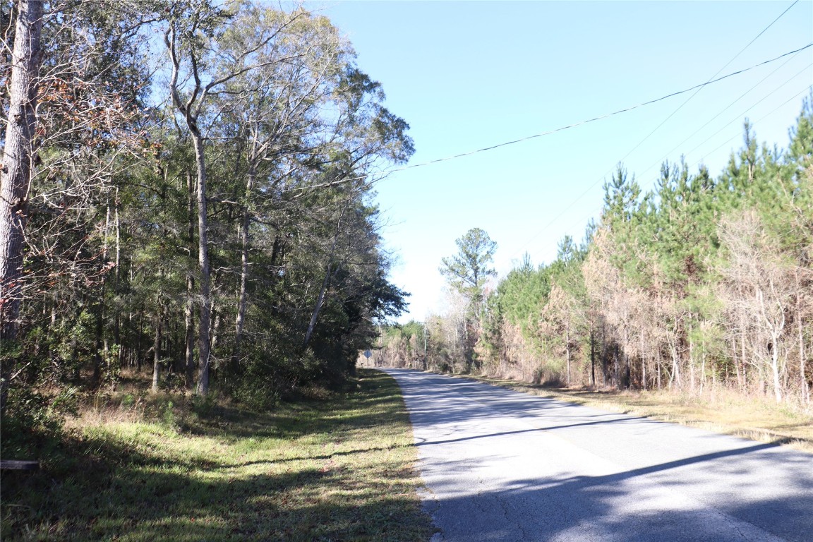 574154 Lessie Road Hilliard, FL 32046 - Photo 28 of 34 a view of a yard with large trees