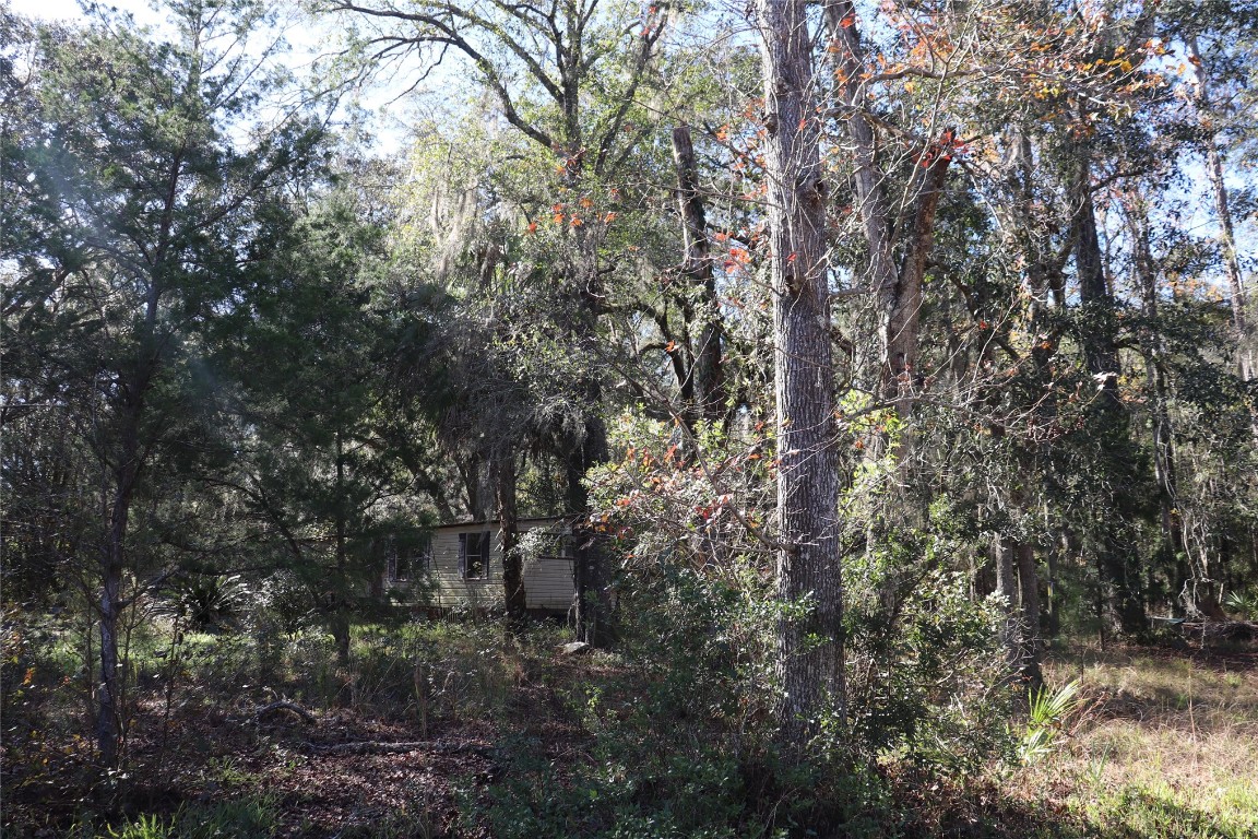 574154 Lessie Road Hilliard, FL 32046 - Photo 29 of 34 a view of forest