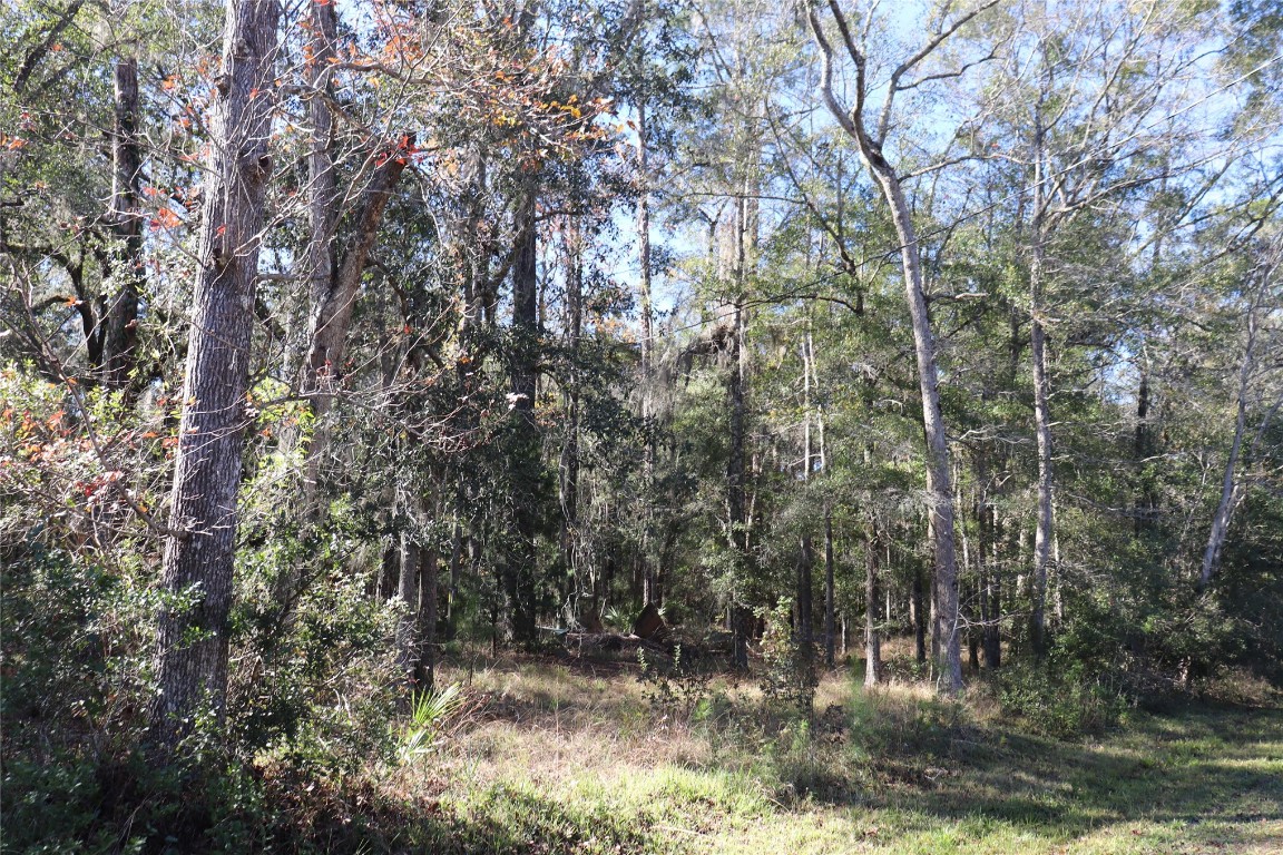 574154 Lessie Road Hilliard, FL 32046 - Photo 30 of 34 a view of swimming pool of green space