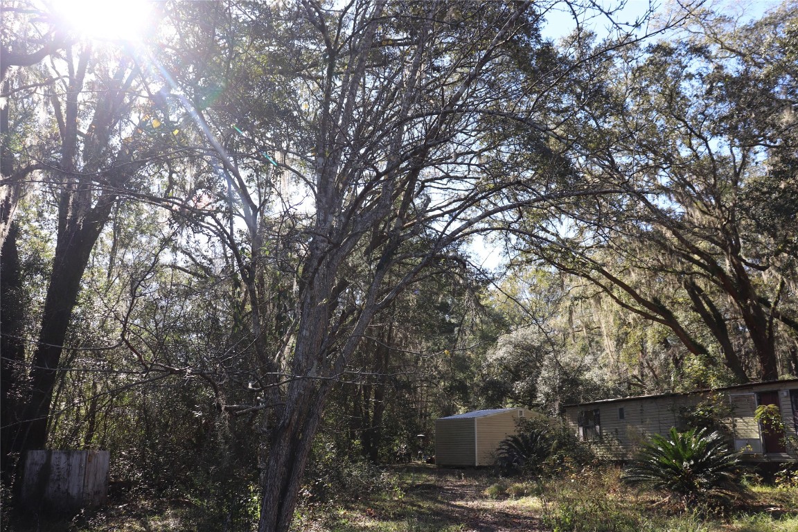 574154 Lessie Road Hilliard, FL 32046 - Photo 5 of 34 a view of a house with a tree