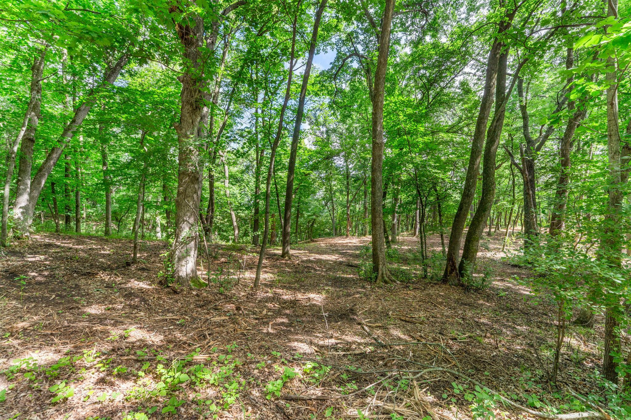 2-xx Cove Road Hudson, WI 54016 - Photo 11 of 18