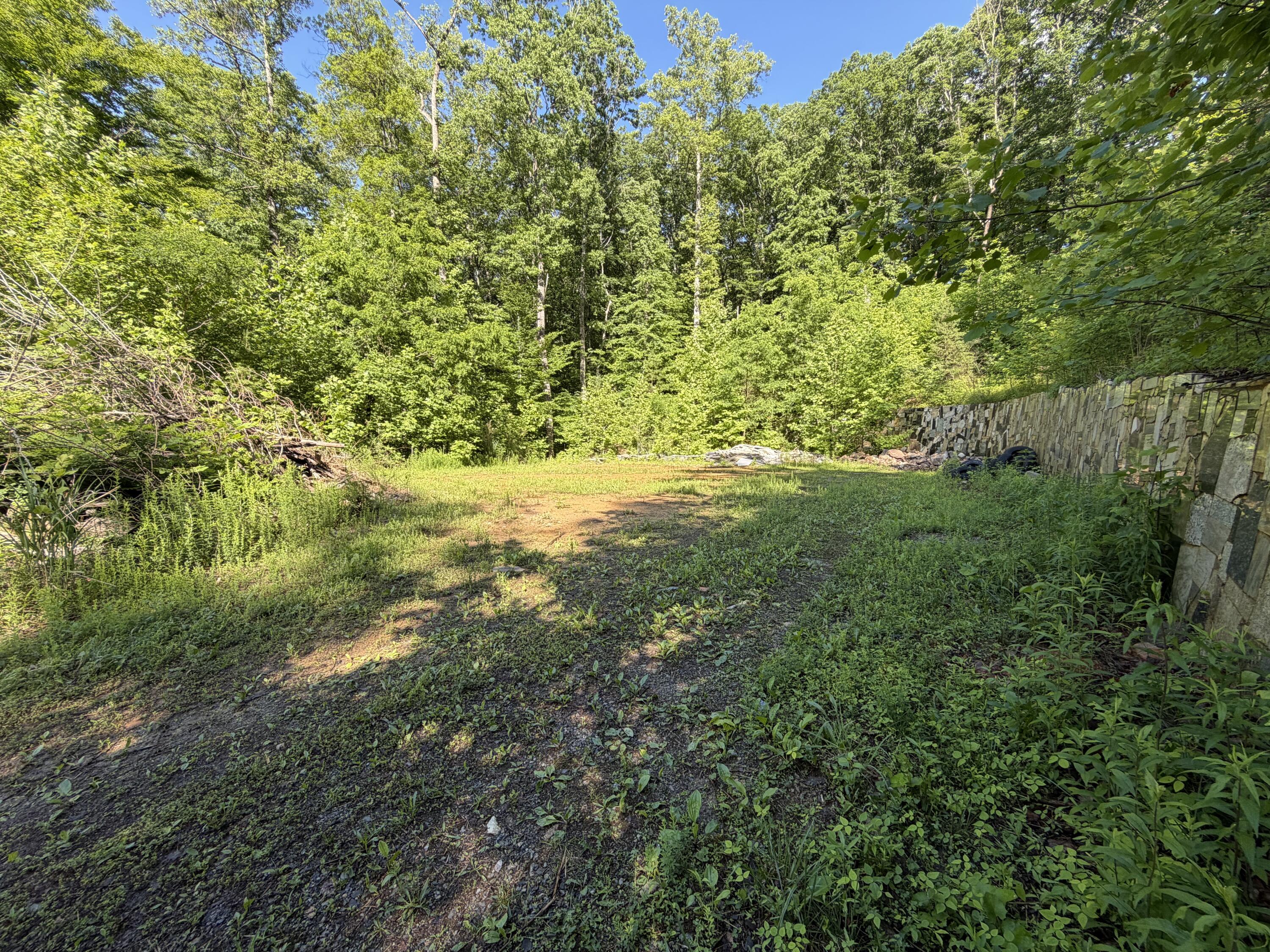0 Lake Road Troutville, VA 24175 - Photo 6 of 18 a view of a yard with a tree