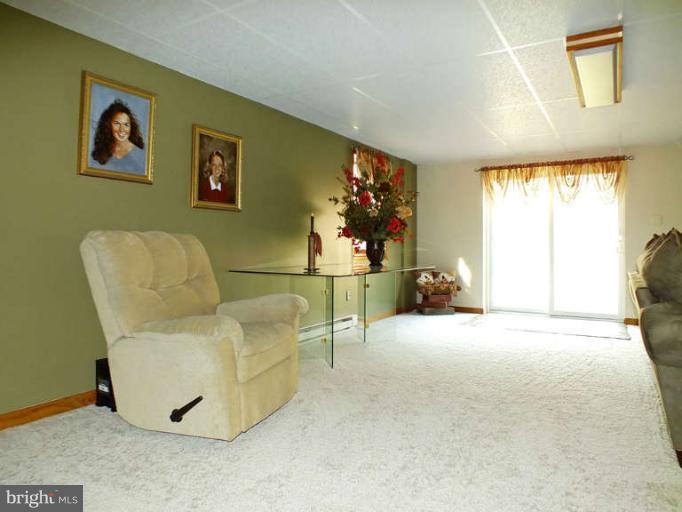 2914 Hoffman Mill Road Hampstead, MD 21074 - Photo 18 of 26 Family Room has a walkout.