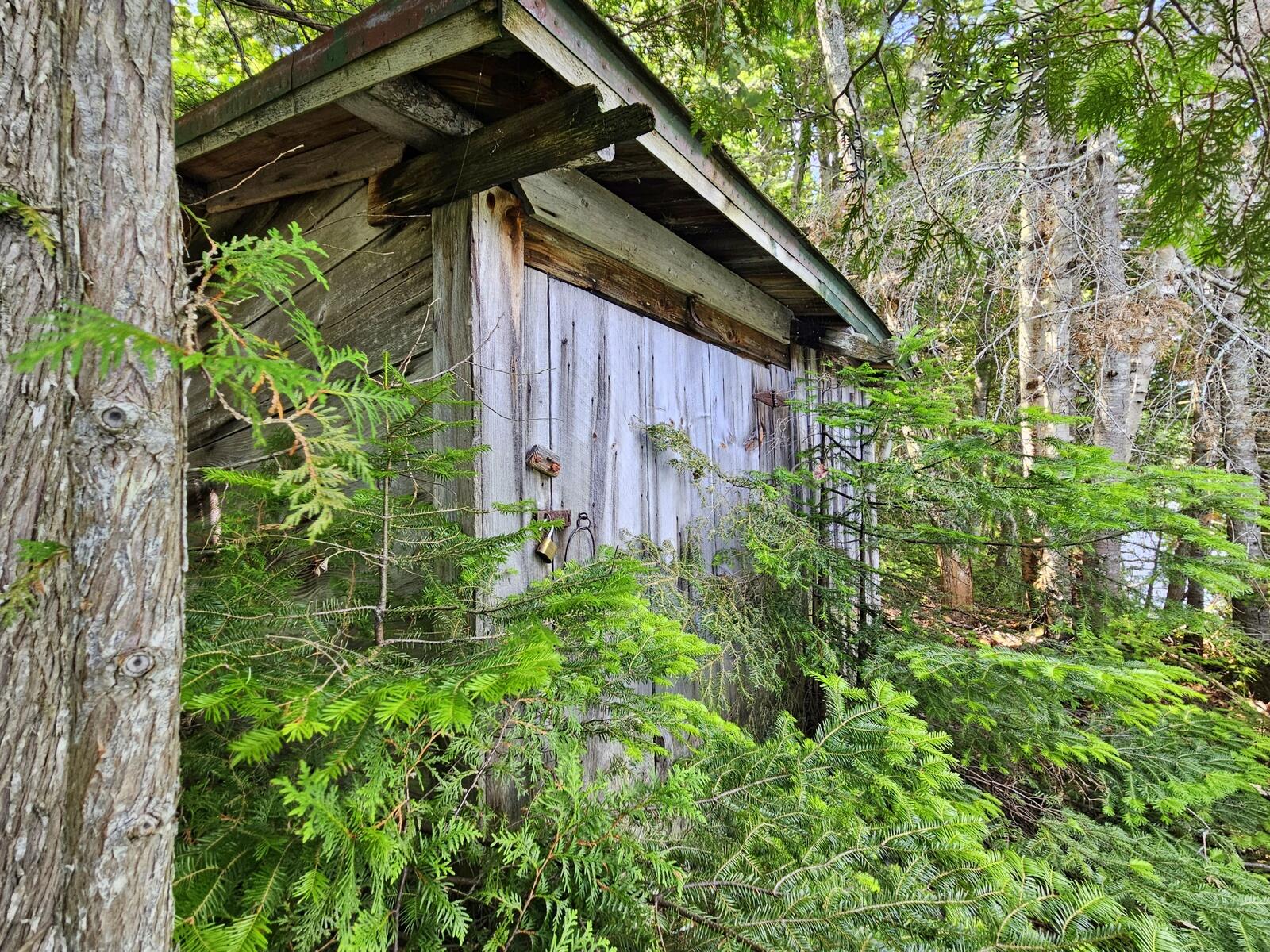 6 Beech Hill Road Sandy River Plt, ME 04970 - Photo 20 of 22 20260708_120847