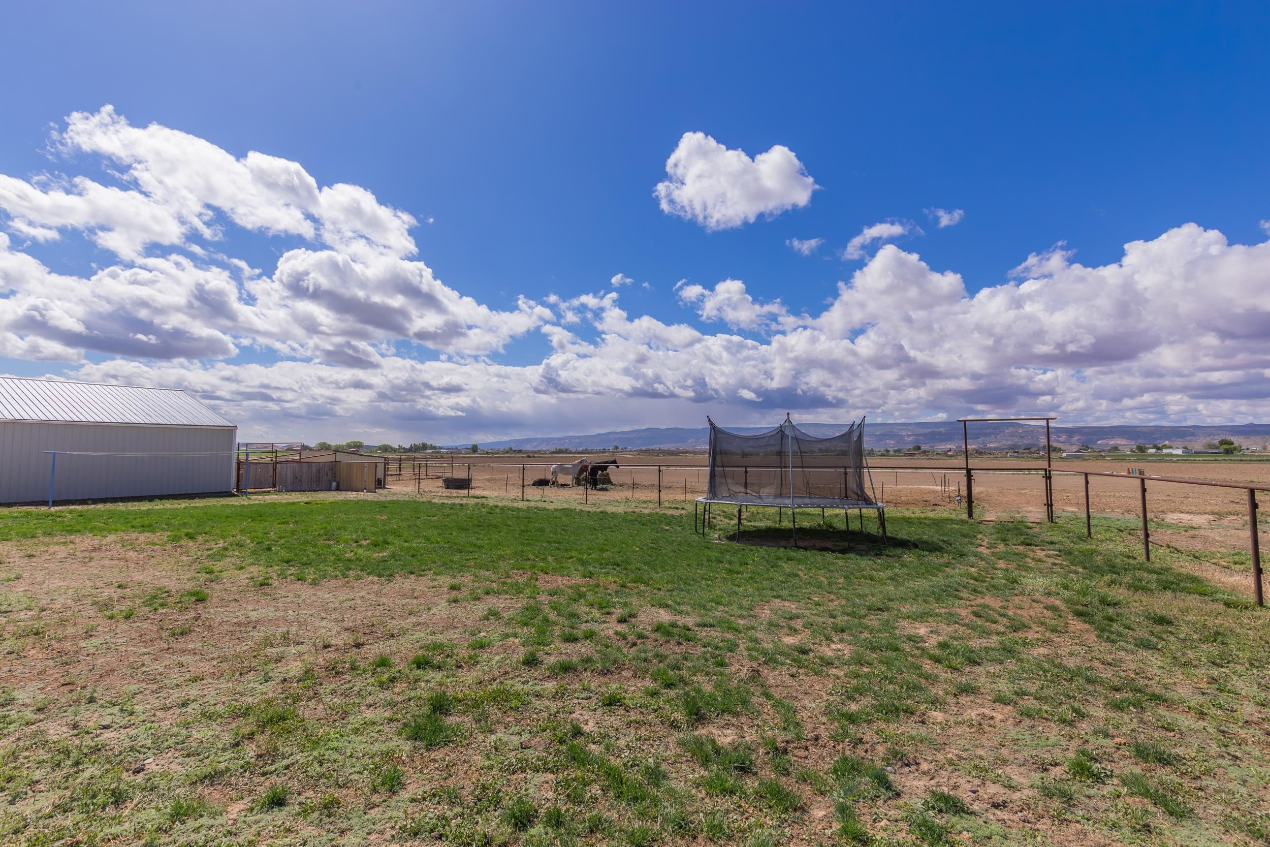 1339 O O 1/2 Road Loma, CO 81524 - Photo 37 of 42