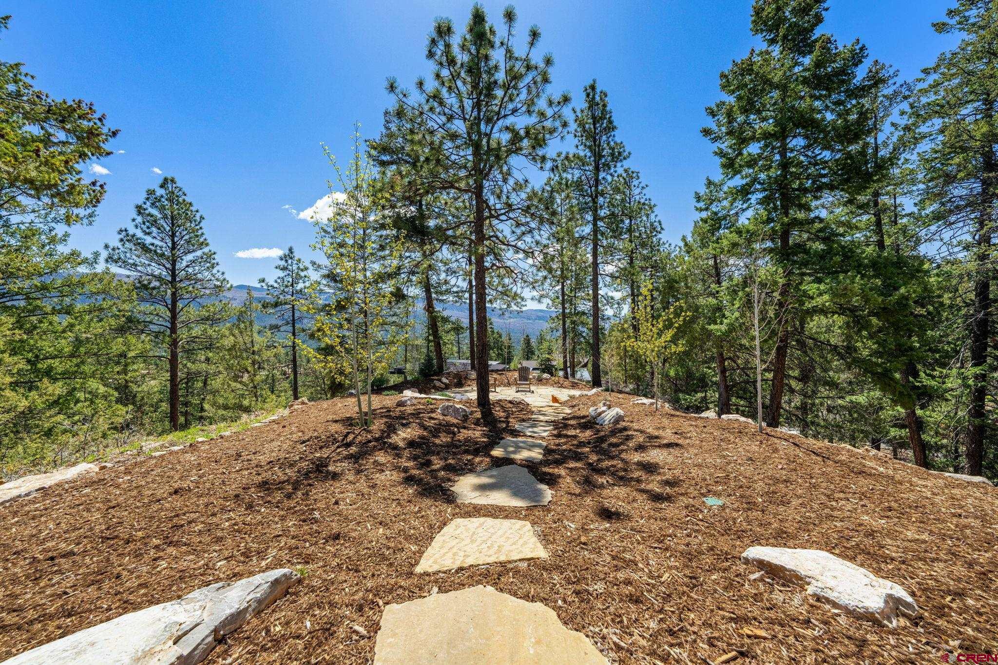 49 Bluff Drive Durango, CO 81301 - Photo 13 of 45 a view of a tree in the middle of a yard