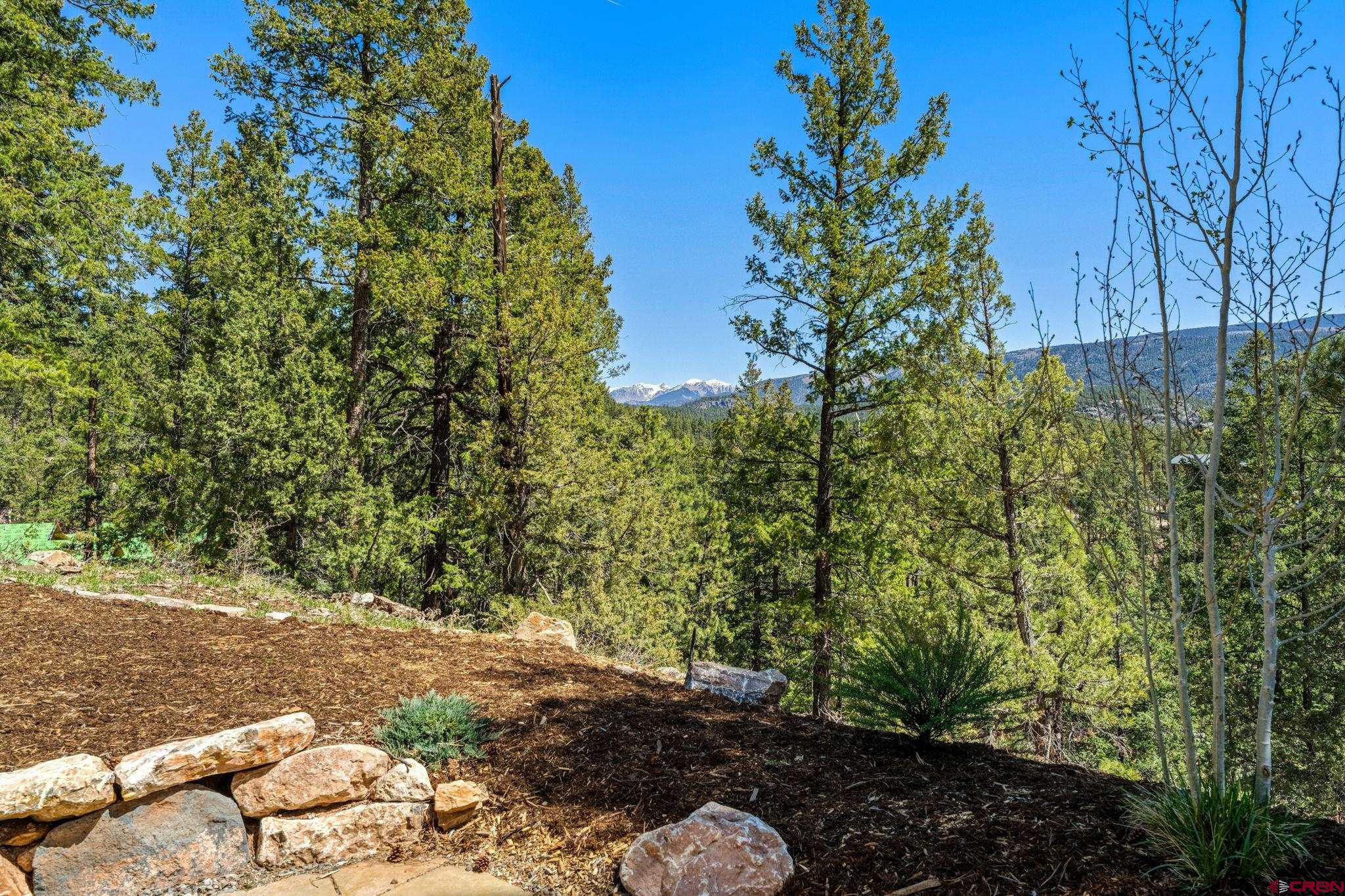 49 Bluff Drive Durango, CO 81301 - Photo 14 of 45 a view of a yard with plants and trees
