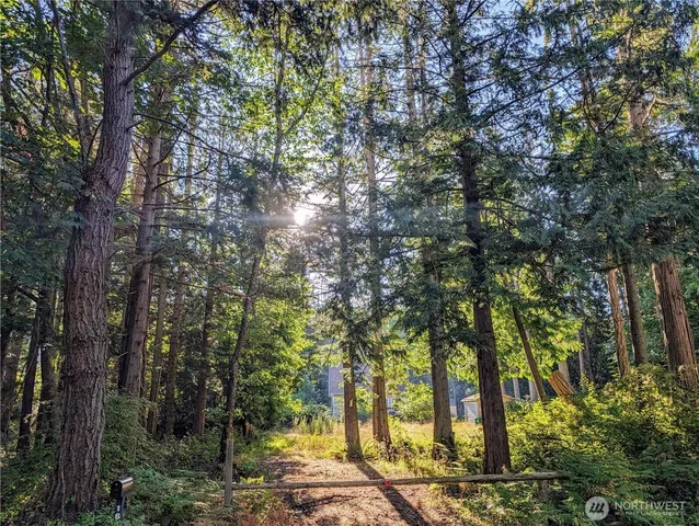 a view of a trees with a tree