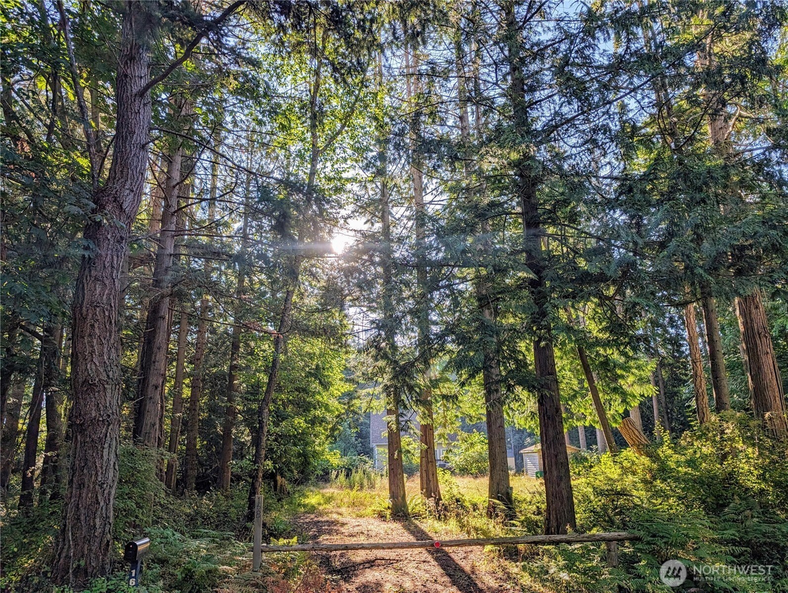 168 Tyee Drive Point Roberts, WA 98281 - Photo 1 of 17 a view of a trees with a tree