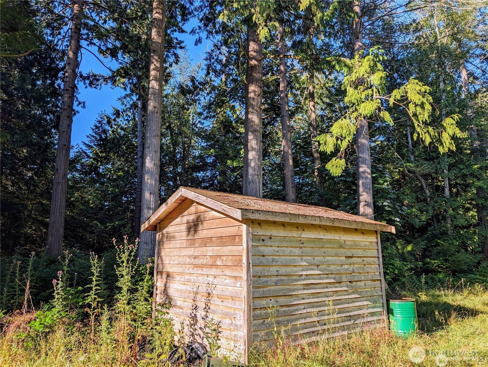 168 Tyee Drive Point Roberts, WA 98281 - Photo 11 of 17 a view of backyard with swimming pool and outdoor seating