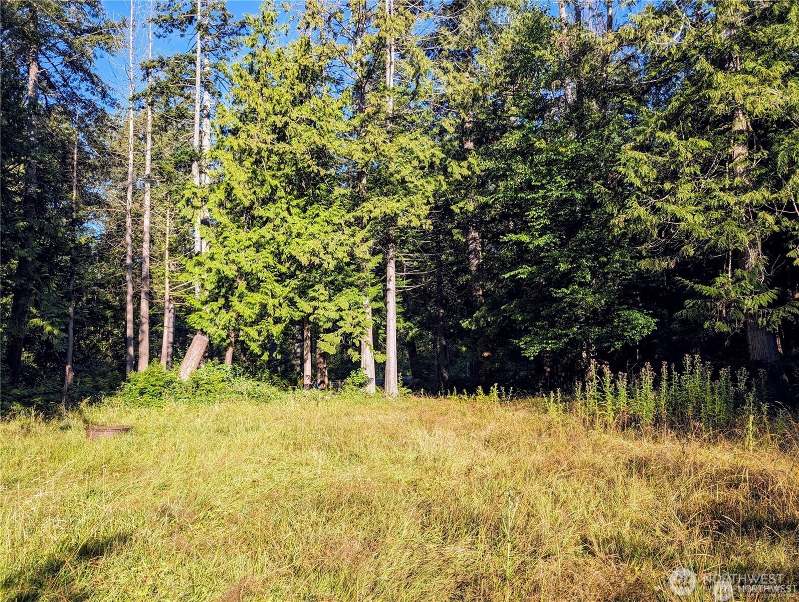168 Tyee Drive Point Roberts, WA 98281 - Photo 12 of 17 a view of swimming pool and trees